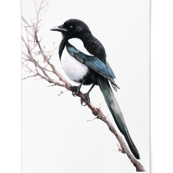Watercolor Magpie Bird Wall Art Print, Unframed - Elegant Nature-Inspired Decor - Picture 2 of 6